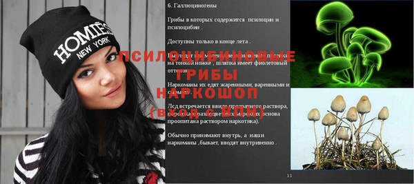 гидропоника Алексин