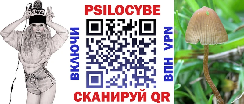 Псилоцибиновые грибы GOLDEN TEACHER  где продают наркотики  Гуково 