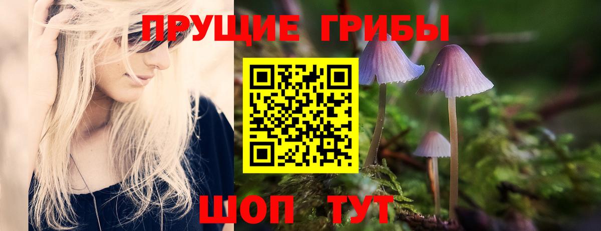 Гуково  Галлюциногенные грибы GOLDEN TEACHER  Вход с VPN 